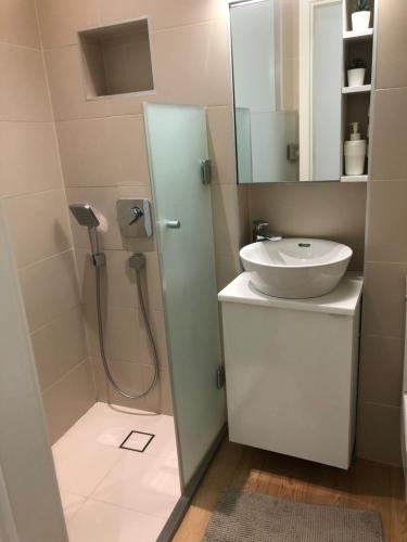 a bathroom with a shower and a sink at In My Style Apartman in Budapest