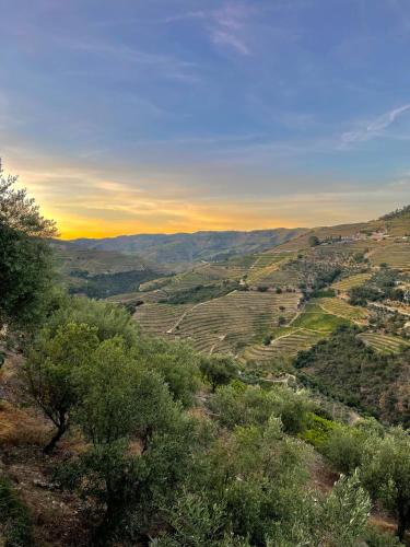 Gallery image of Casa dos Barros Winery Lodge by Vintage Theory in Sabrosa