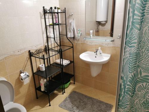 a bathroom with a sink and a toilet at Silver A 27 in Byala