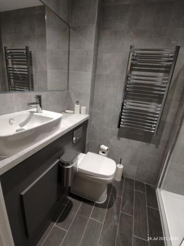 a bathroom with a sink and a toilet and a mirror at Earl Street124 in Sheffield