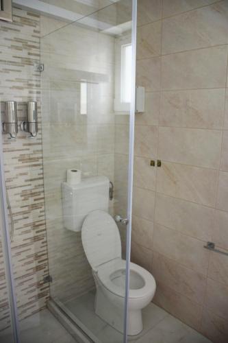 a bathroom with a toilet and a shower at Villa Bella in Golubac