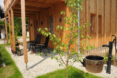 Κήπος έξω από το Architektenhaus Reischl mit Sauna