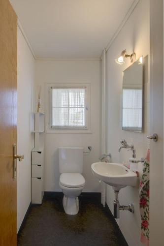 a bathroom with a white toilet and a sink at Blattenheimat - im traditionellen Appenzeller Haus in Appenzell