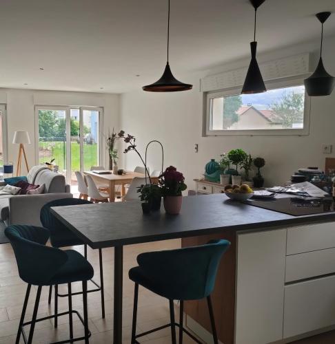 une cuisine avec une table et des chaises dans une cuisine dans l'établissement LA MAISON BLEUE, à 20 mn de Strasbourg, sur la route des vins, jusqu'à 6 personnes, Sélestat, à Sélestat