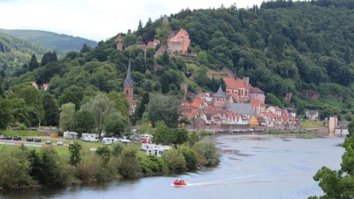 a town on a hill next to a river at Natur und Neckarblick bei Heidelberg in Hirschhorn