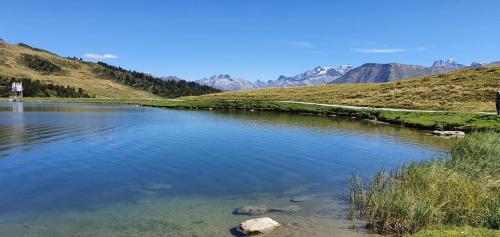 a river in the middle of a valley with mountains at Lorli in Bettmeralp