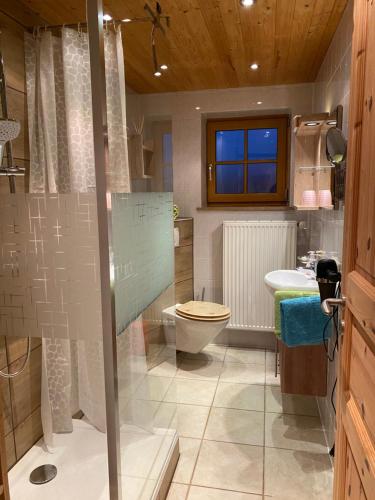 y baño con ducha, aseo y lavamanos. en Im-Oberland - Tal - KönigsCard, en Bad Kohlgrub