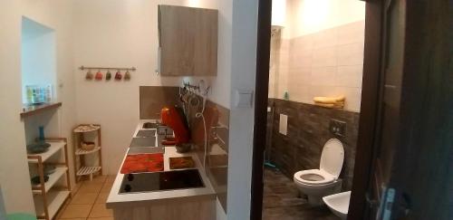 a bathroom with a sink and a toilet in it at Apartament Tylas 2 in Jaworki