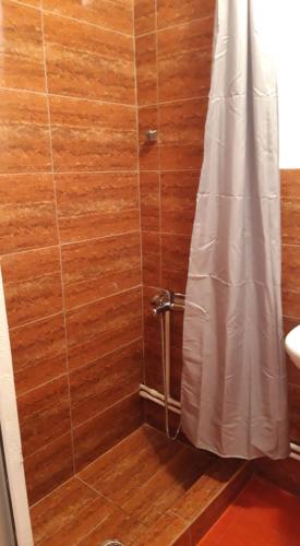 a bathroom with a shower with a toilet and a sink at Casa Claudiu in Măgura