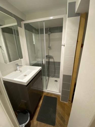 une salle de bain avec un lavabo et une douche dans l'établissement Le château de Courbouzon, à Courbouzon