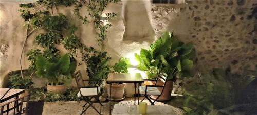 a room with a bunch of plants on the wall at Hotel Nord Boutique in Estellencs