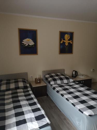 two beds sitting next to each other in a room at NOCLEGI u ALI in Wałbrzych