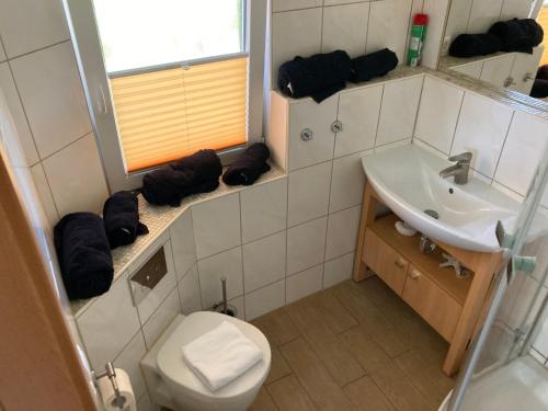 a small bathroom with a toilet and a sink at Spreewaldhäuser Wiesner in Lübbenau