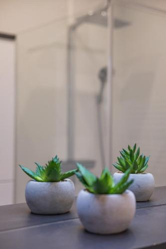 two plants in white vases sitting on a table at Deluxe Apartment Graz in Graz
