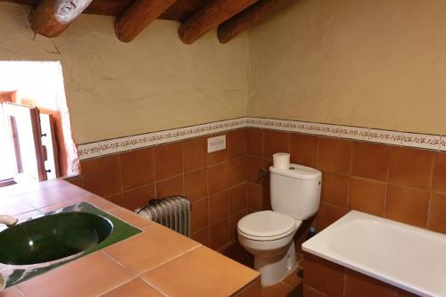 Un baño con inodoro y lavabo verde. en Fincaretama Farmhouse Apartment Ronda, en Ronda