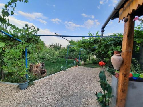 Zahrada ubytování Ararat B&B