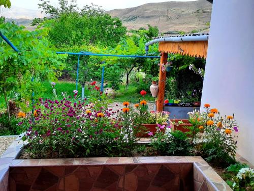 Zahrada ubytování Ararat B&B