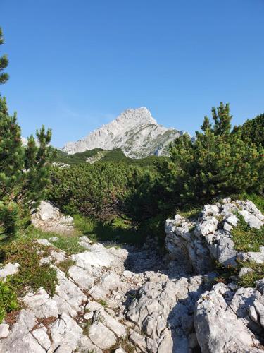 a mountain in the distance with rocks and trees at Holiday Home Prdelanca in Luče