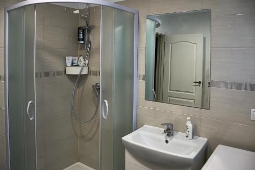 uma casa de banho com um lavatório e um chuveiro com um espelho. em Rundale Solstice Apartment em Pilsrundāle