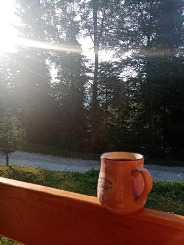 Fotografie z fotogalerie ubytování Vila Tutić Apartman 1 i Apartman 2 v destinaci Mitrovac