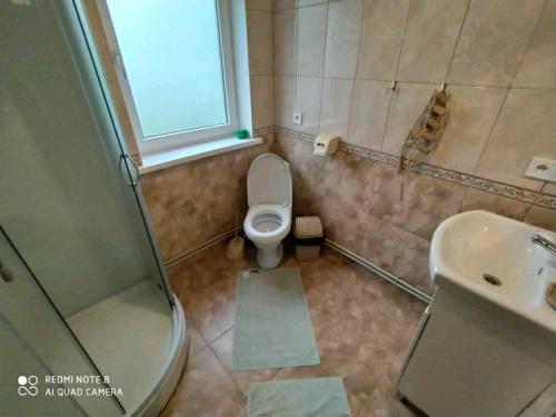 a bathroom with a toilet and a sink and a shower at Садиба У Надії in Guta