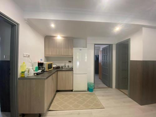 Kuchyň nebo kuchyňský kout v ubytování Holiday Apartmanház