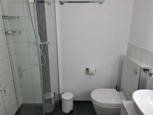 een badkamer met een douche, een toilet en een wastafel bij Edelweiss Residenza Quadra in Flims