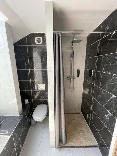 a bathroom with a shower and a toilet at Le Lodge du Pichat in Sainte-Hélène-du-Lac