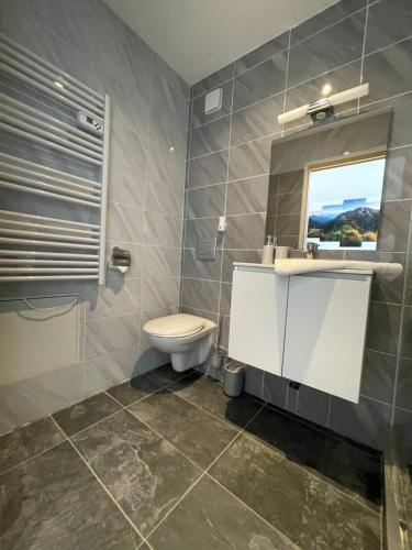 a bathroom with a toilet and a sink and a window at Le Lodge du Pichat in Sainte-Hélène-du-Lac