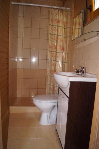 a bathroom with a toilet and a sink and a shower at Domek letniskowy Barakuda in Chałupy