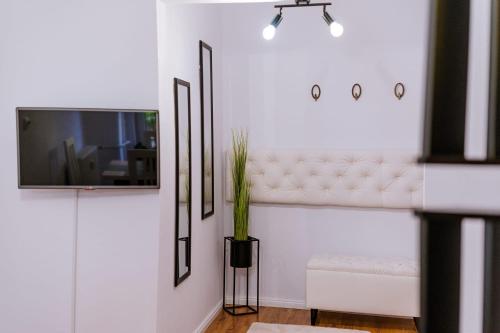 sala de estar con TV y planta en EUNICE apartament, en Oradea
