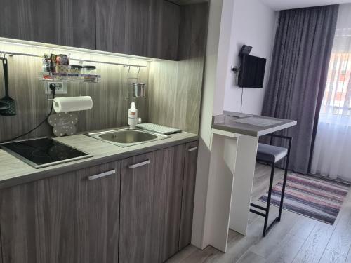 a kitchen with a sink and a counter top at Ema Apartman in Bijeljina