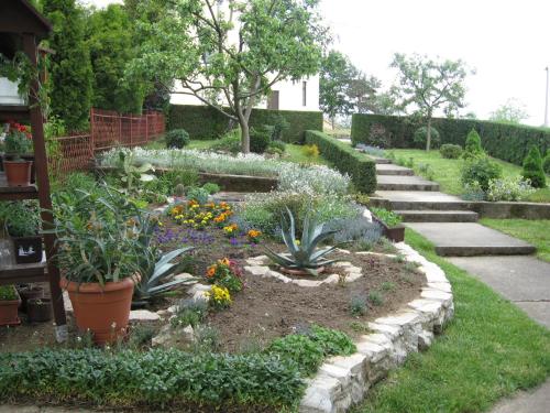 a garden with plants and flowers in a yard at Guesthouse Pavličić in Drežnik Grad