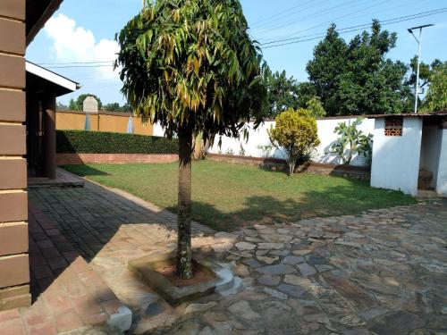 Jardí fora de Sky Inn