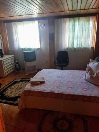 Dormitorio con cama, escritorio y TV en Cazare de vis, en 23 August