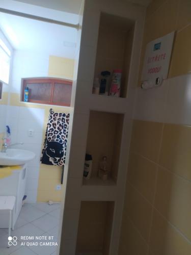 a bathroom with a sink and a shower stall at Penzion Slunce nad Vinným Sklepem in Moravská Nová Ves