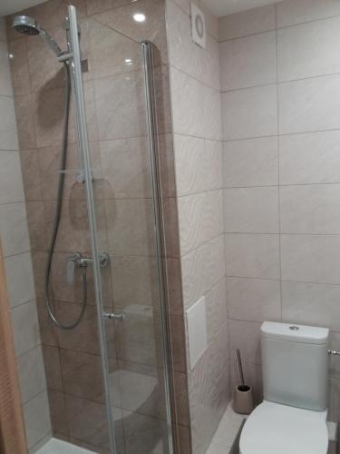 La salle de bains est pourvue d'une douche et de toilettes. dans l'établissement Urocze mieszkanie z widokiem na Puszczę Białowieską, à Hajnówka