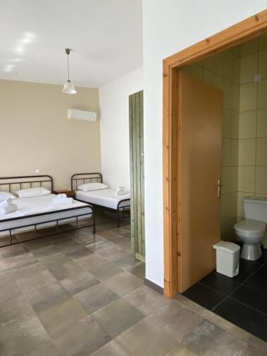 a room with two beds and a toilet in it at Kryoneri village in Kryonéri