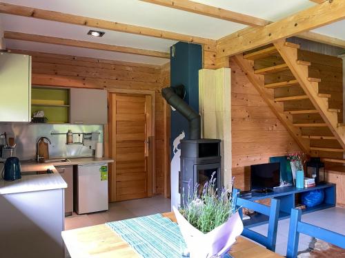 a kitchen and living room with a woodburning stove at CHATA POD CZEŚNIĄ in Brzozowiec