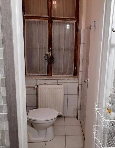 a small bathroom with a toilet and a window at Locomotiv Vendégház in Hercegszántó