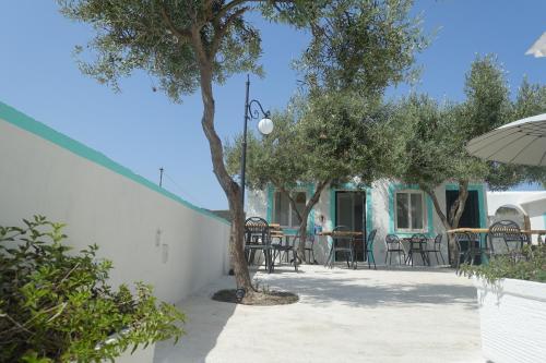 a patio with a tree and tables and chairs at Il Capriccio Guesthouse in Ponza