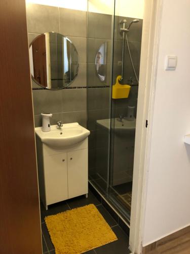 a bathroom with a sink and a shower with a mirror at Milla Apartman in Szentendre