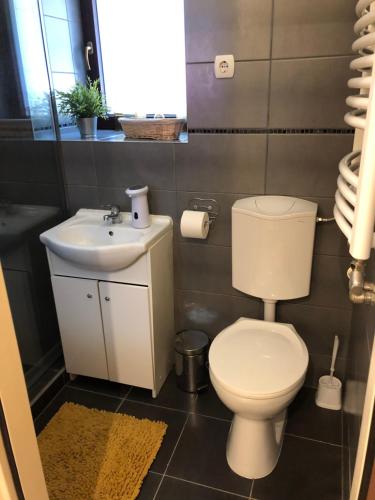 a bathroom with a toilet and a sink at Milla Apartman in Szentendre