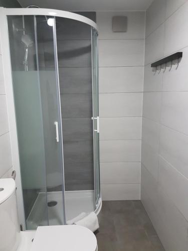 a glass shower in a bathroom with a toilet at Dworek pod Lwami in Lewin Brzeski