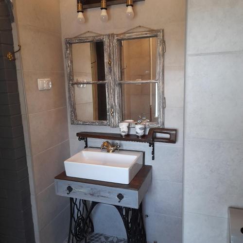 a bathroom with a white sink and a mirror at Locomotiv Vendégház in Hercegszántó