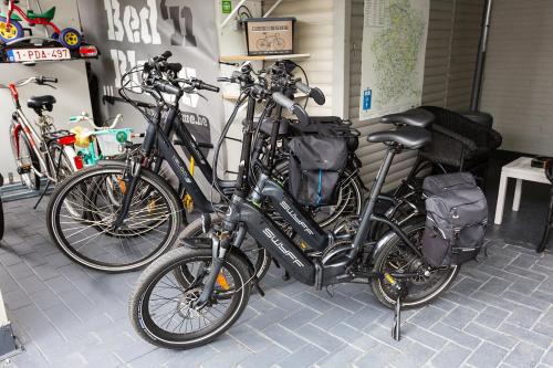 a couple of bikes parked next to each other at Bed 'n Blues **** in Halen