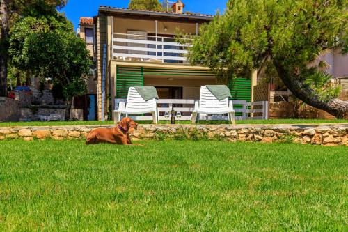 Al Mare Apartments