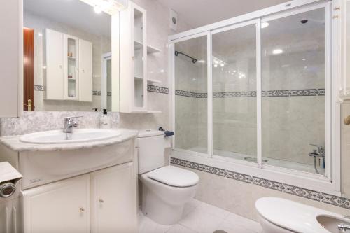 レオンにあるApartamento Caño Badillo - Plaza Mayor - leonapartamentosの白いバスルーム(トイレ、シャワー付)