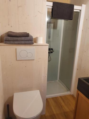 Koupelna v ubytování Tiny House Cosy 2 - Angers Green Lodge