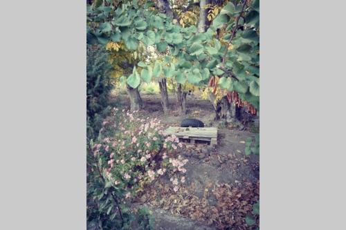 La Casita de Drofa Gabets – Photos 2